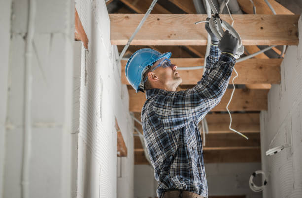 Best Electrical Upgrades for Homes  in Palatine, IL