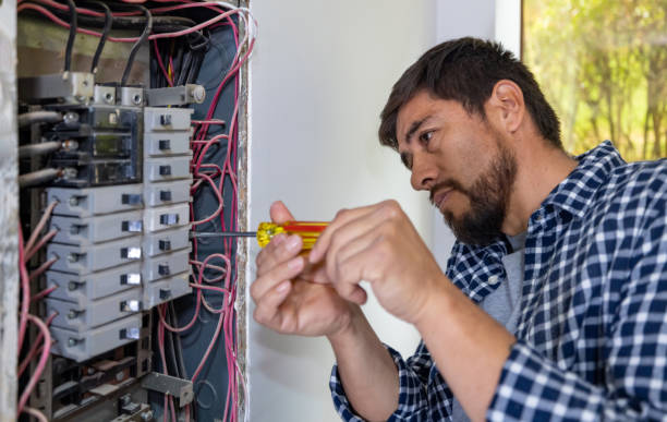 Best Home Electrical Repair  in Palatine, IL